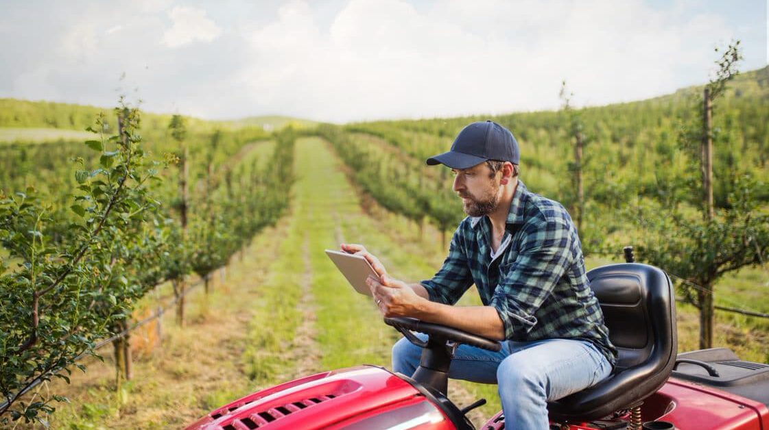 man on a lawnmower in a tree field