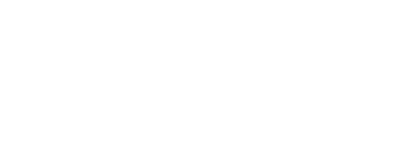 Brother logo white