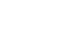 Dana logo white